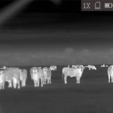 ASP-Micro TM-160 Thermal Camera