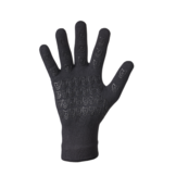 Wind + Waterproof Merino Shelter Gloves (Black)