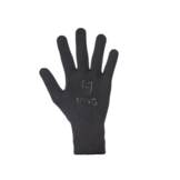 Wind + Waterproof Merino Shelter Gloves (Black)