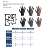 Wind + Waterproof Merino Shelter Gloves (Black)