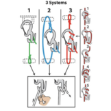 Figure 9 Carabiner Rope Tightener  Small