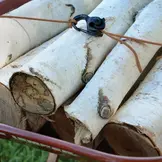 CamJam XT Aluminum Cord Tightener - Small (Black)