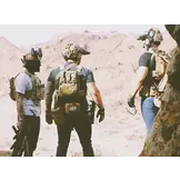 Back Panel Banger (Ranger Green)