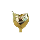 Roll 1 Trauma Pouch (Coyote Brown)