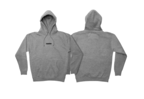 Ferro Redacted Hoodie (Grey)