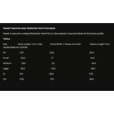 Ferro Redacted Hoodie (Grey)