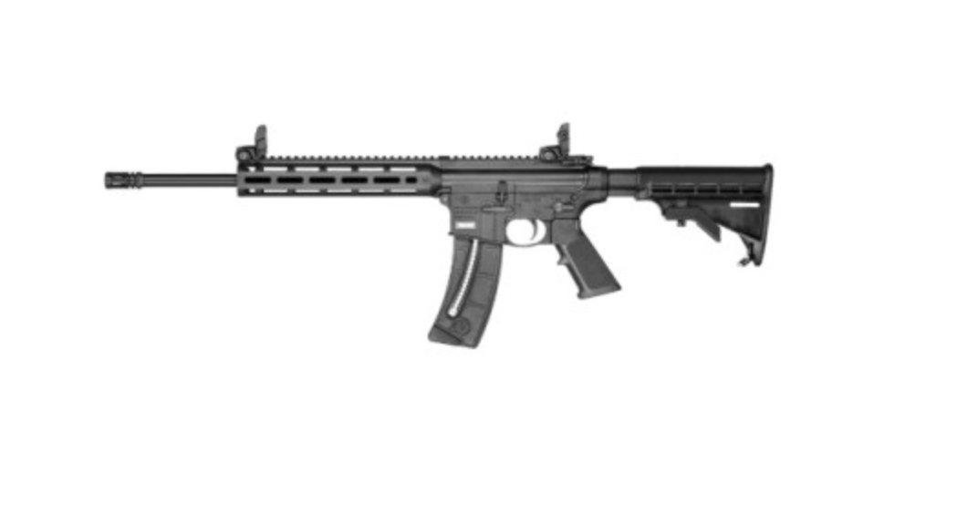 Carabine S&W MP15-22 sport 16,5" cal.22LR