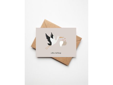 Buro allure Wenskaart geboorte ooievaar ' welkom lief kleintje'