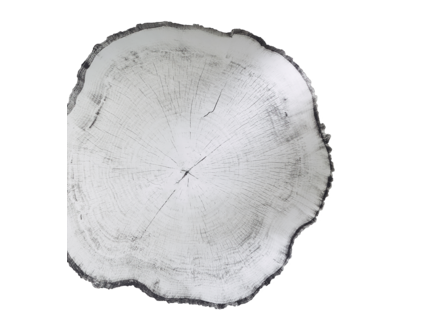 deknudt Arbo wandspiegel