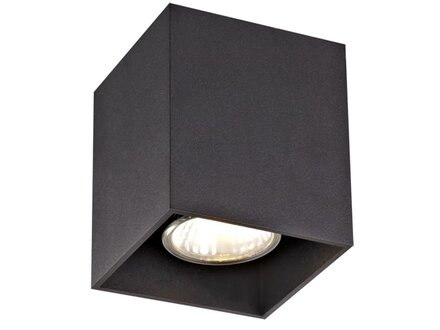 Fantasia Babar opbouwspots vierkant