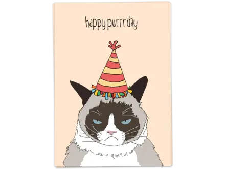 Kaart Blanche Wenskaart ' Happy purrrday '