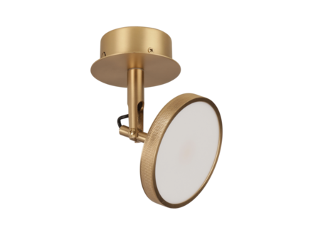 Umage Asteria spot Umage Asteria spot