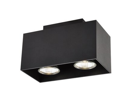 Fantasia Kubo plafondspot 2x