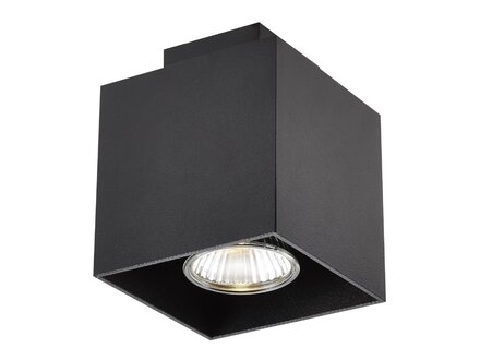 Fantasia Kubo plafondspot 1x