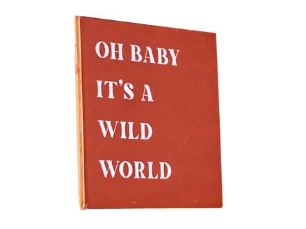Kolony Tegeltje – 'Oh baby it's a wild world'