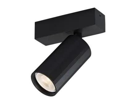 Fantasia Plafond opbouwspot Oryx 1L Fantasia Plafond opbouwspot Oryx 1L
