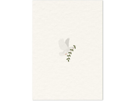 The Card Company Wenskaart " Duif "