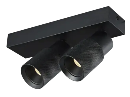 Fantasia Nysal plafondspot x2