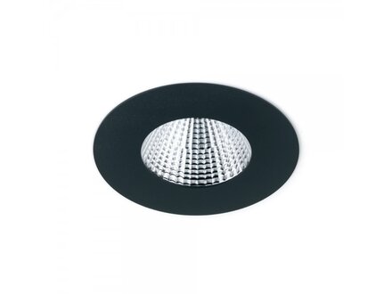 Exterus Mini BFD PLUS