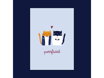 Dujojo Wenskaart - Purrficiat
