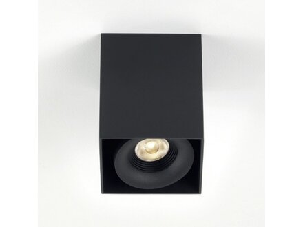 Exterus Plafondlamp Turio S