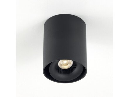 Exterus Plafondlamp Turio R
