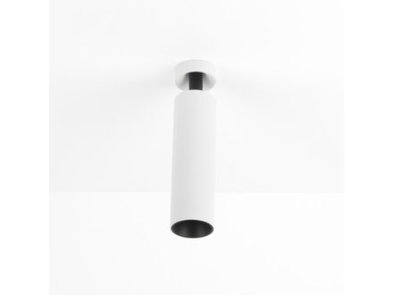Exterus Nala I4