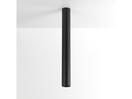 Exterus Nala On L excl driver