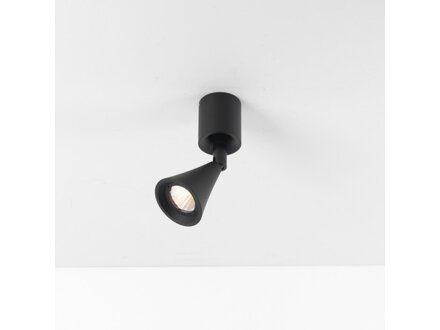 Exterus Calla 04