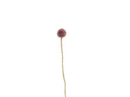 Aveva ENDLESS FLOWER, royal thistle