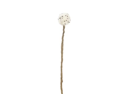 Aveva ENDLESS FLOWER, snowball thistle