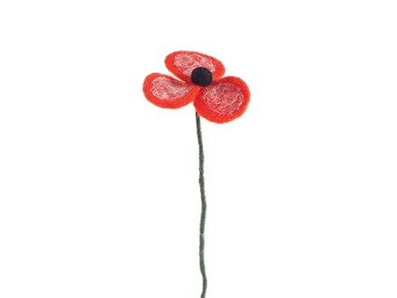 Aveva ENDLESS FLOWER, Poppy coral