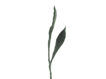 Aveva ENDLESS FLOWER, leaf pair