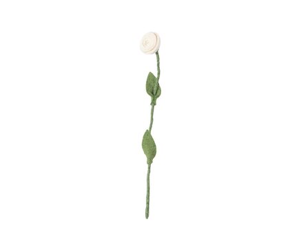 Aveva ENDLESS FLOWER, rose, white