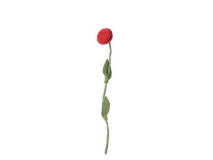 Aveva ENDLESS FLOWER, rose, red