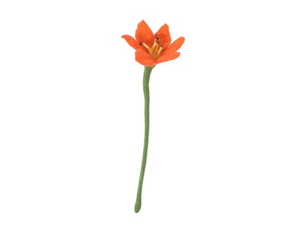 Aveva ENDLESS FLOWER, lily, coral