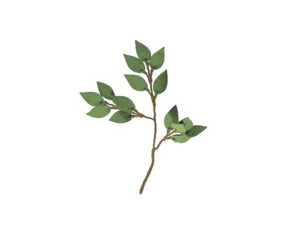 Aveva ENDLESS FLOWER, green leaf