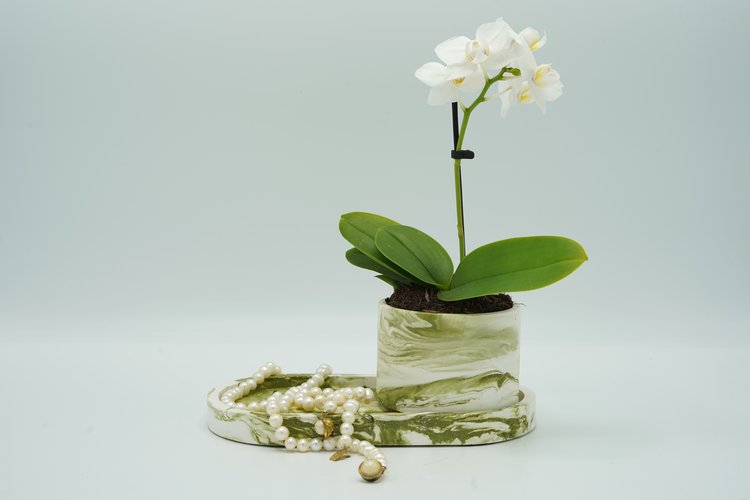 REGARD’OR® Bowls-Marble look