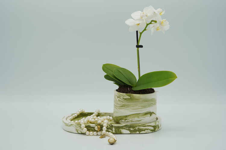 REGARD’OR® Petit pot vide - Aspect Marbre