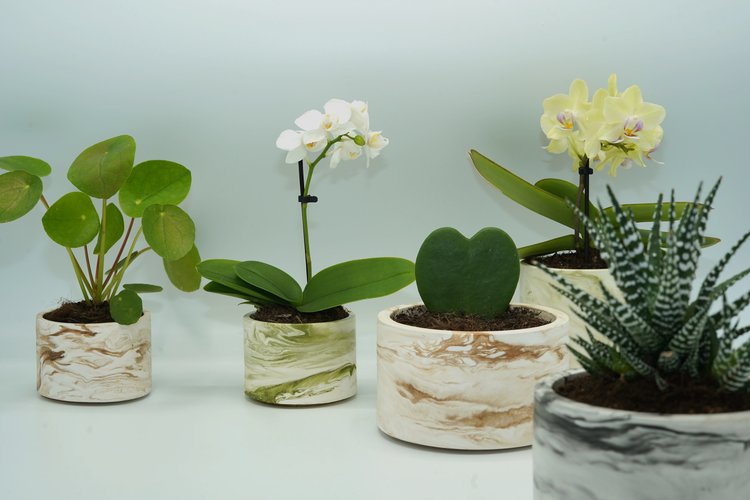 REGARD’OR® HANDGEMAAKTE RUSTIEKE & MARMER-LOOK BLOEMPOTTEN