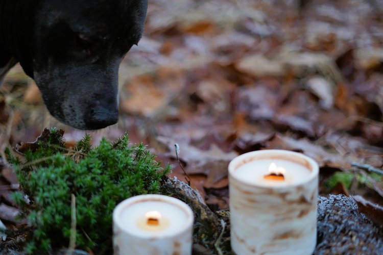 REGARD’OR® Handmade Rustic & Marble Look Natural Candles - Medium