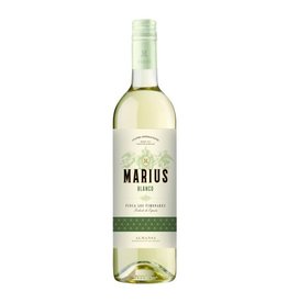 Marius Marius Blanco Verdejo Sauvignon Almansa