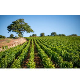 Bourgogne proeverij 1 oktober