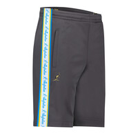 Australian Bermuda Shorts mit Cyan Seitenstreifen 3.0 (Titanium Grey) - Neue verbesserte Passform