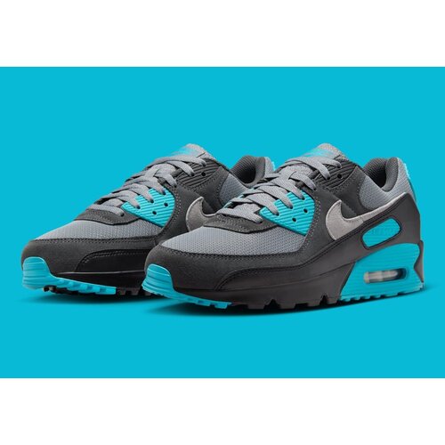 Nike Nike Air Max 90 (Cool Grey/Wolf Grey)