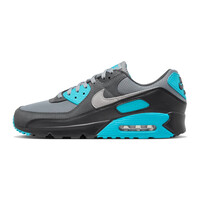 Nike Air Max 90 (Cool Grey/Wolf Grey)