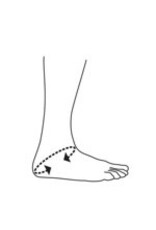 Basko ASO enkelbrace