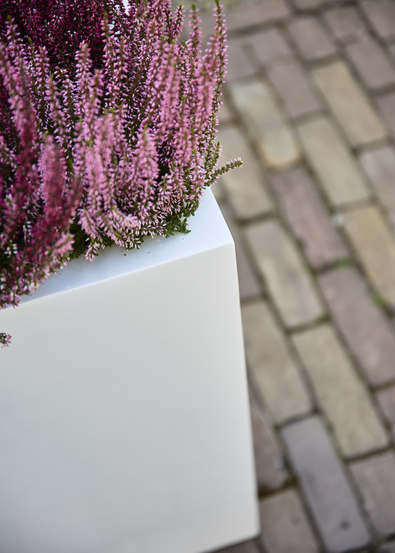 Luca Lifestyle - Argento Pflanzkasten ''Argento Small Box'' Weiß Hochglanz Rechteckig Fiberglas