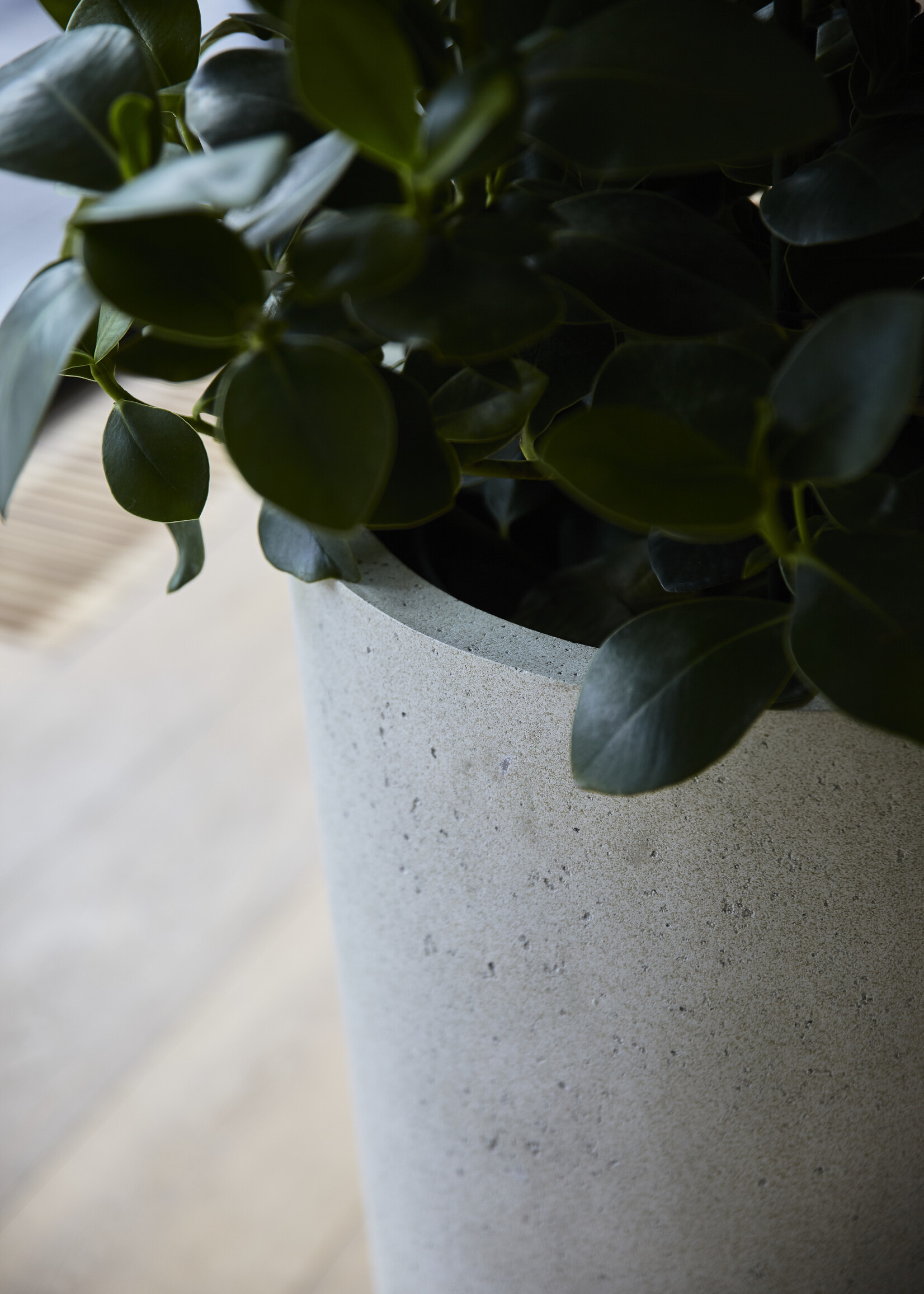 Luca Lifestyle - Grigio Pflanzkübel ''Grigio Classico'' Creme Weiß Rund Fiberglas
