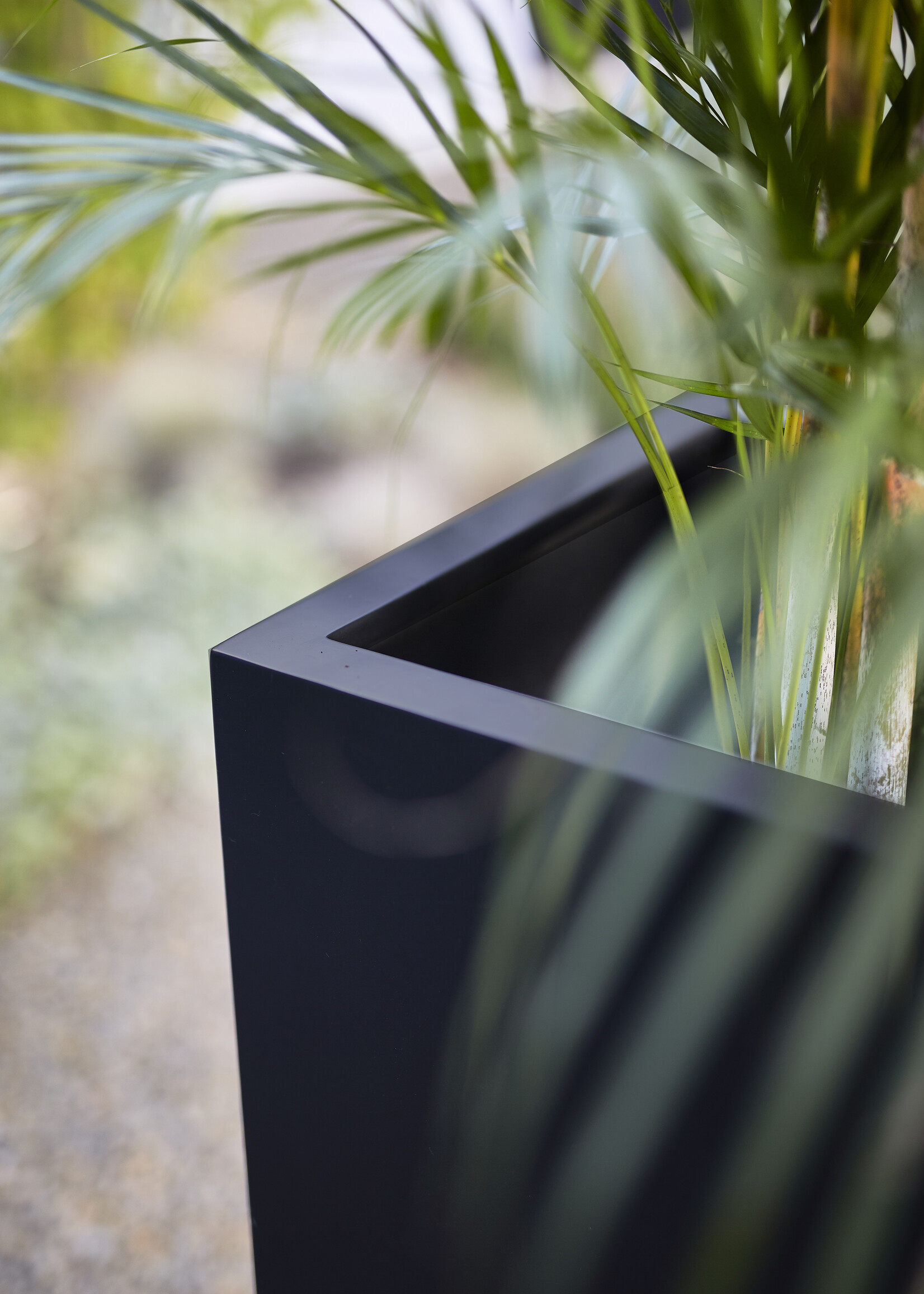 Luca Lifestyle - Argento Pflanzkübel "Argento Cube" Schwarz Quadratisch Fiberglas